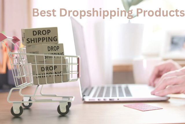 Best Dropshipping Products