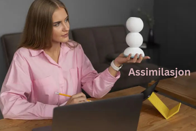Assimilasjon