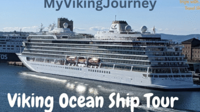 MyVikingJourney