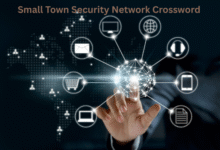 Small Town Security Network Crossword